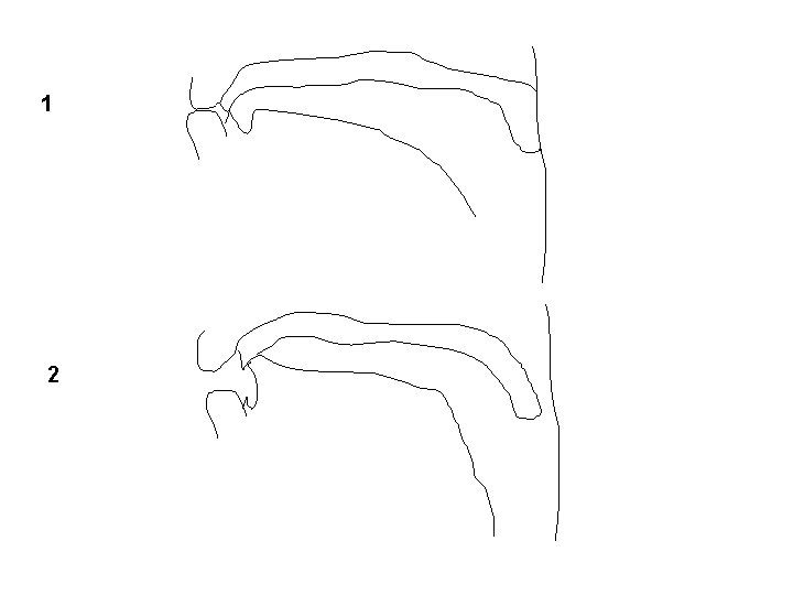 1 2 1 2