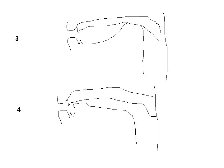 3 4 3 4
