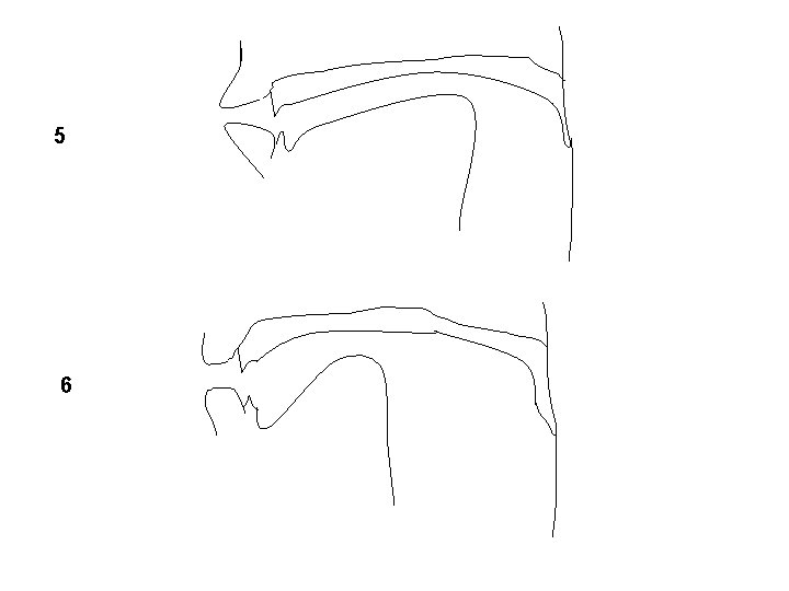 5 6 5 6