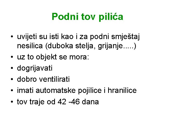 Podni tov pilića • uvijeti su isti kao i za podni smještaj nesilica (duboka