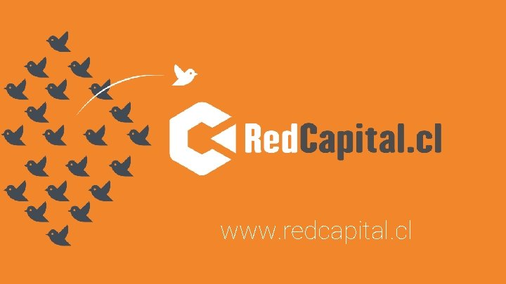 www. redcapital. cl 