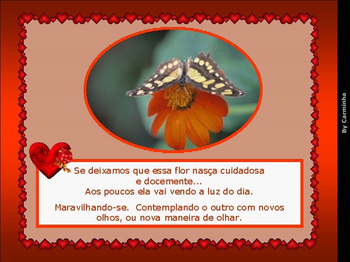 Se deixamos que essa flor nasça cuidadosa e docemente. . . Aos poucos ela