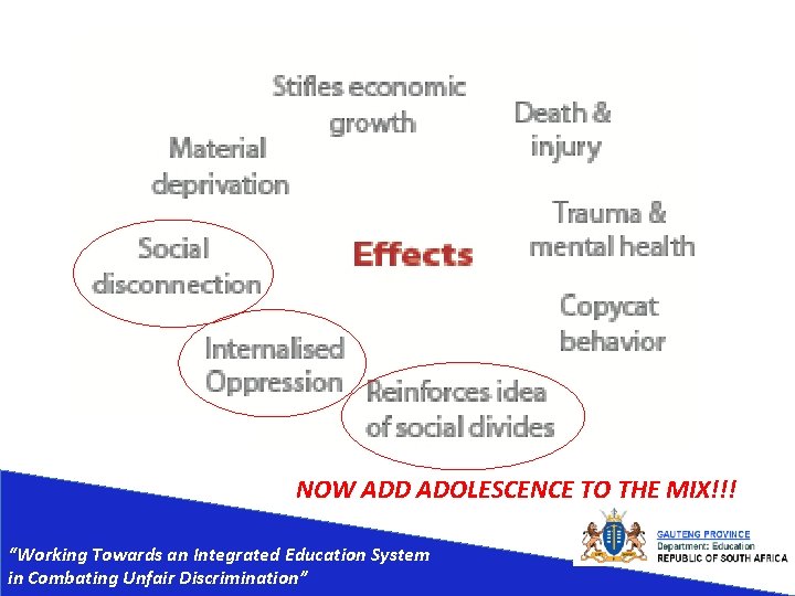NOW ADD ADOLESCENCE TO THE MIX!!! “Working Towards an Integrated Education System in Combating