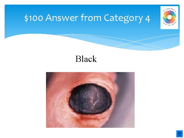 $100 Answer from Category 4 Black 