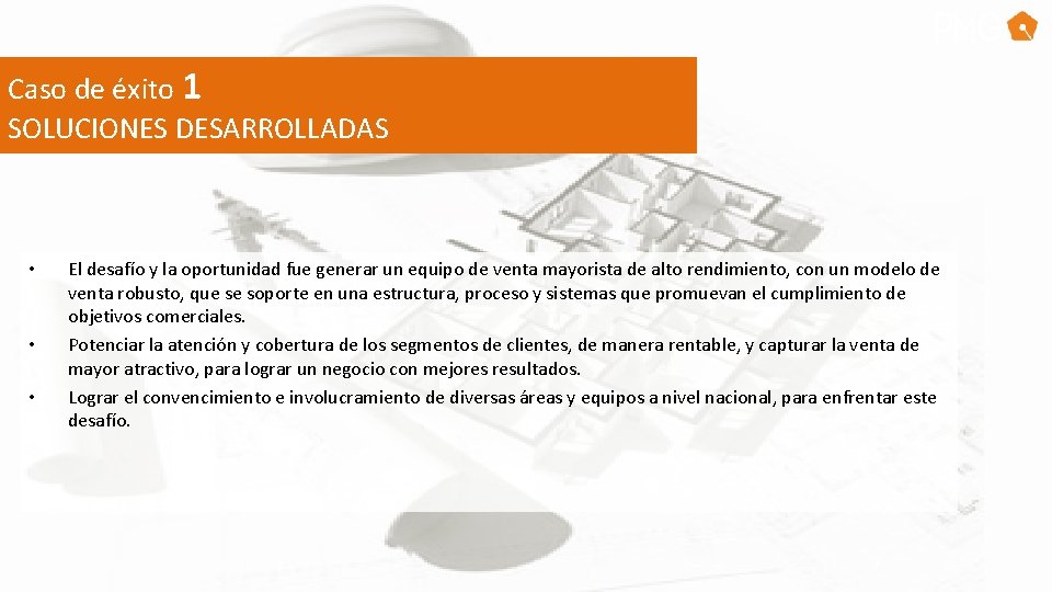 Caso de éxito 1 SOLUCIONES DESARROLLADAS • • • El desafío y la oportunidad