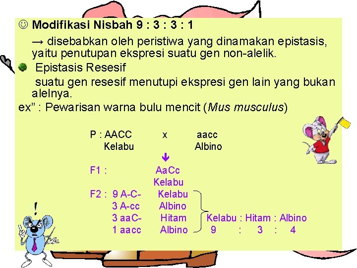  Modifikasi Nisbah 9 : 3 : 1 → disebabkan oleh peristiwa yang dinamakan