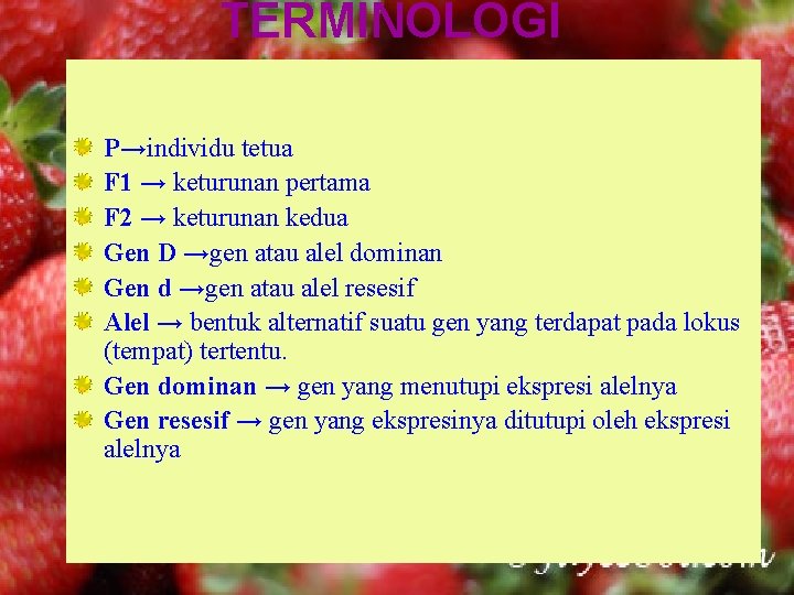 TERMINOLOGI P→individu tetua F 1 → keturunan pertama F 2 → keturunan kedua Gen