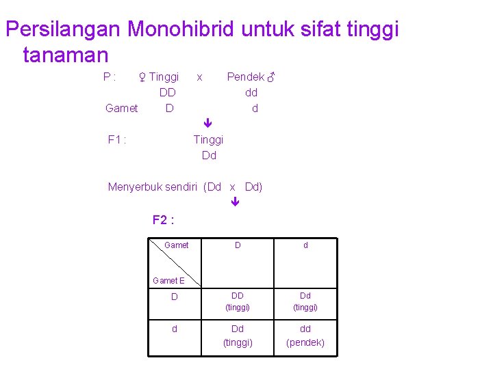 Persilangan Monohibrid untuk sifat tinggi tanaman P : ♀ Tinggi x Pendek ♂ DD