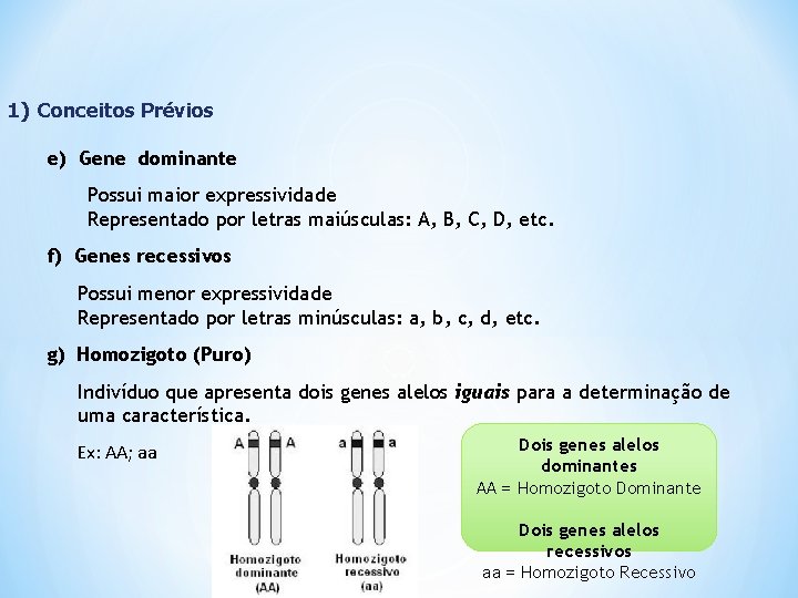 1) Conceitos Prévios e) Gene dominante Possui maior expressividade Representado por letras maiúsculas: A,
