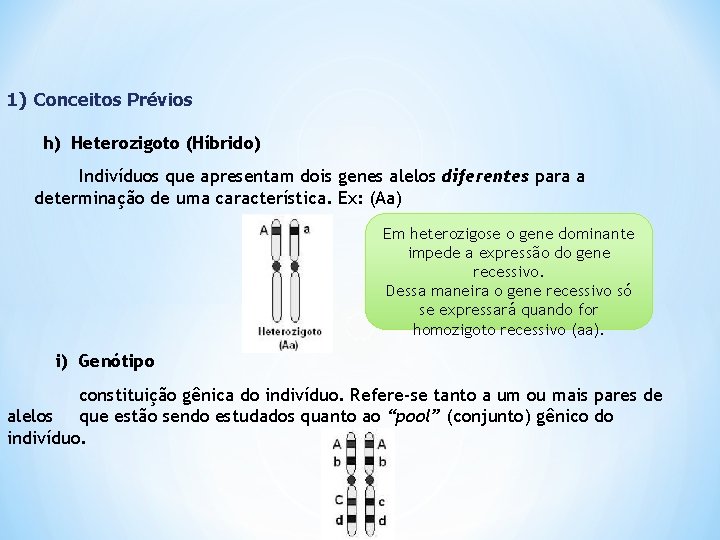 1) Conceitos Prévios h) Heterozigoto (Híbrido) Indivíduos que apresentam dois genes alelos diferentes para