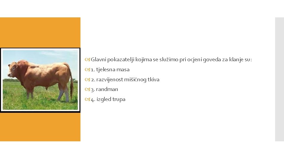  Glavni pokazatelji kojima se služimo pri ocjeni goveda za klanje su: 1. tjelesna