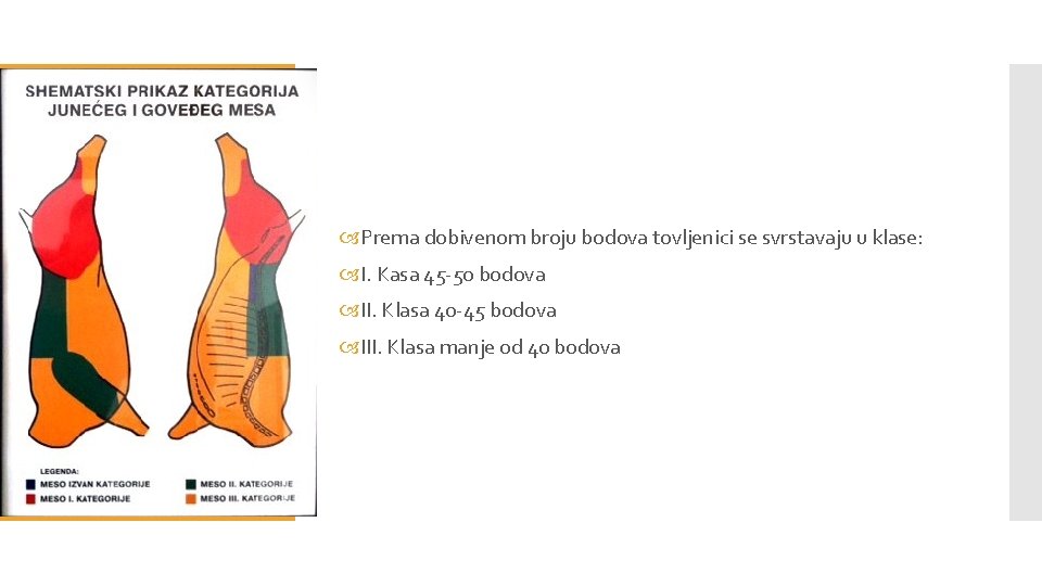  Prema dobivenom broju bodova tovljenici se svrstavaju u klase: I. Kasa 45 -50