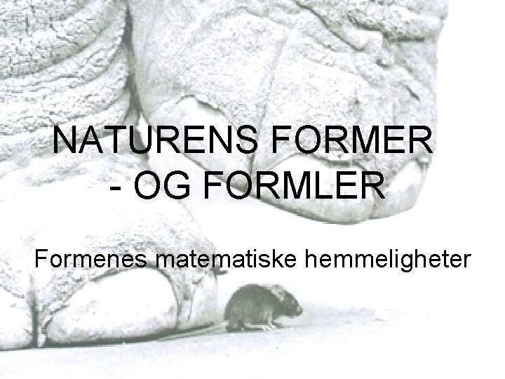 NATURENS FORMER - OG FORMLER Formenes matematiske hemmeligheter Naturens former – og formler 