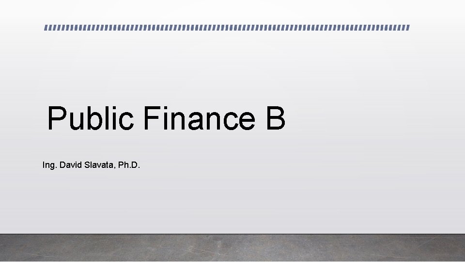 Public Finance B Ing. David Slavata, Ph. D. 