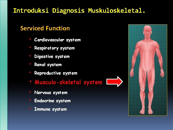 Introduksi Diagnosis Muskuloskeletal. Serviced Function • Cardiovascular system • Respiratory system • Digestive system