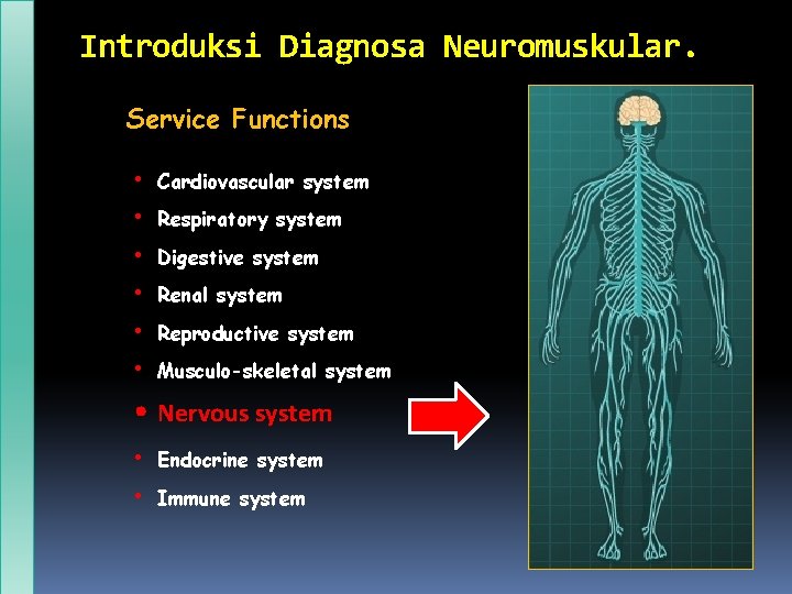 Introduksi Diagnosa Neuromuskular. Service Functions • Cardiovascular system • Respiratory system • Digestive system