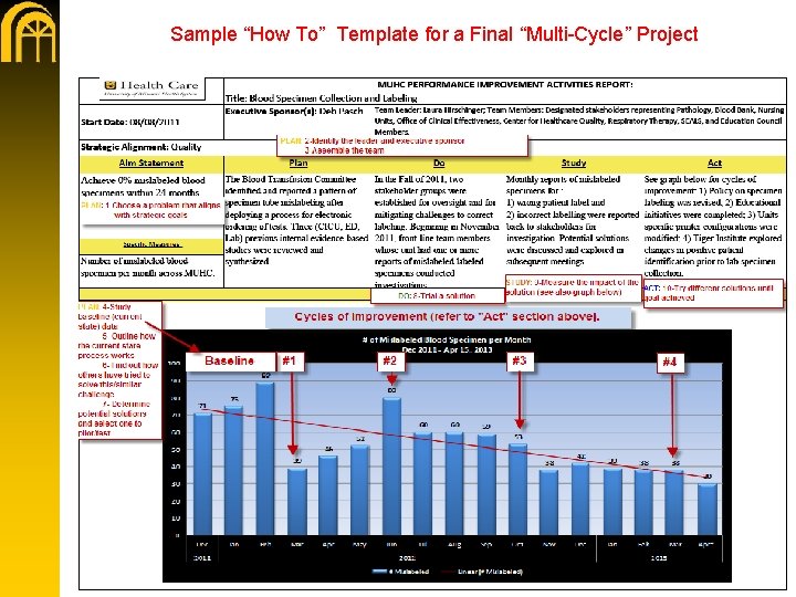 Sample “How To” Template for a Final “Multi-Cycle” Project 