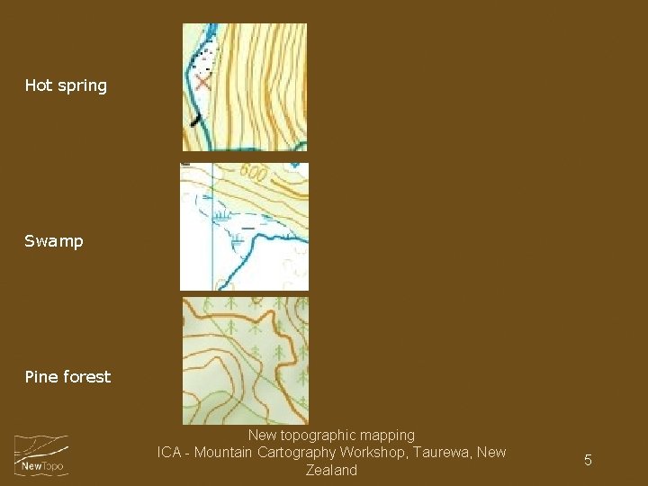 Hot spring Swamp Pine forest New topographic mapping ICA - Mountain Cartography Workshop, Taurewa,