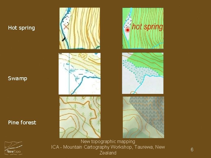 Hot spring Swamp Pine forest New topographic mapping ICA - Mountain Cartography Workshop, Taurewa,
