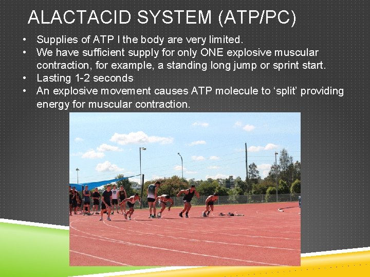 ALACTACID SYSTEM (ATP/PC) • Supplies of ATP I the body are very limited. •