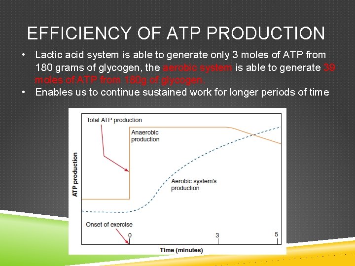 EFFICIENCY OF ATP PRODUCTION • Lactic acid system is able to generate only 3