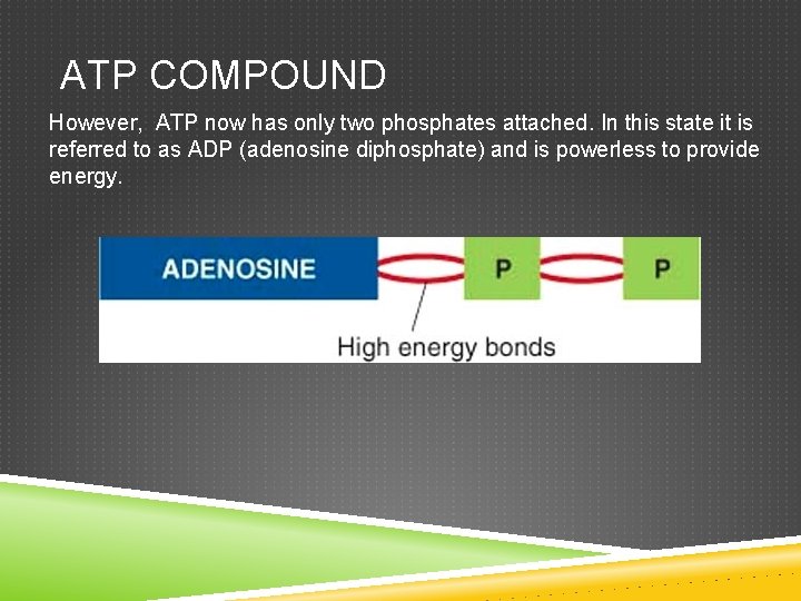 ATP COMPOUND However, ATP now has only two phosphates attached. In this state it