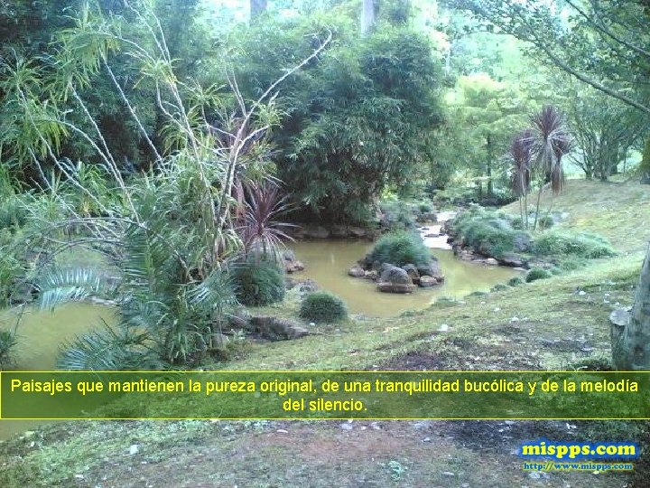 Paisajes que mantienen la pureza original, de una tranquilidad bucólica y de la melodía