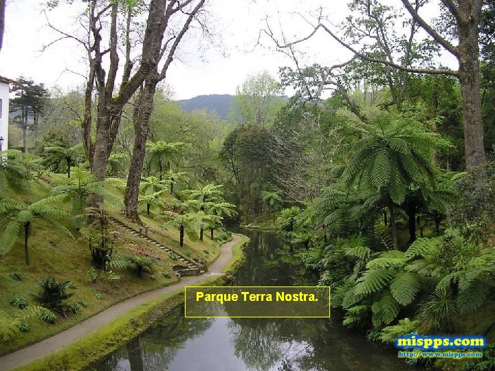 Parque Terra Nostra. 