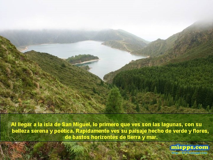 Al llegar a la isla de San Miguel, lo primero que ves son las