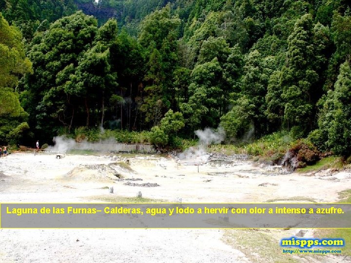 Laguna de las Furnas– Calderas, agua y lodo a hervir con olor a intenso