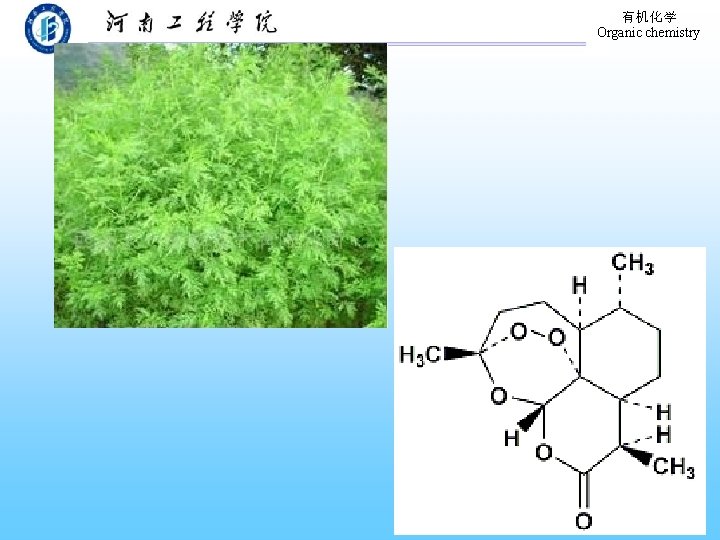 有机化学 Organic chemistry 