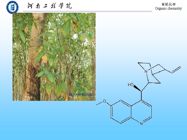 有机化学 Organic chemistry 