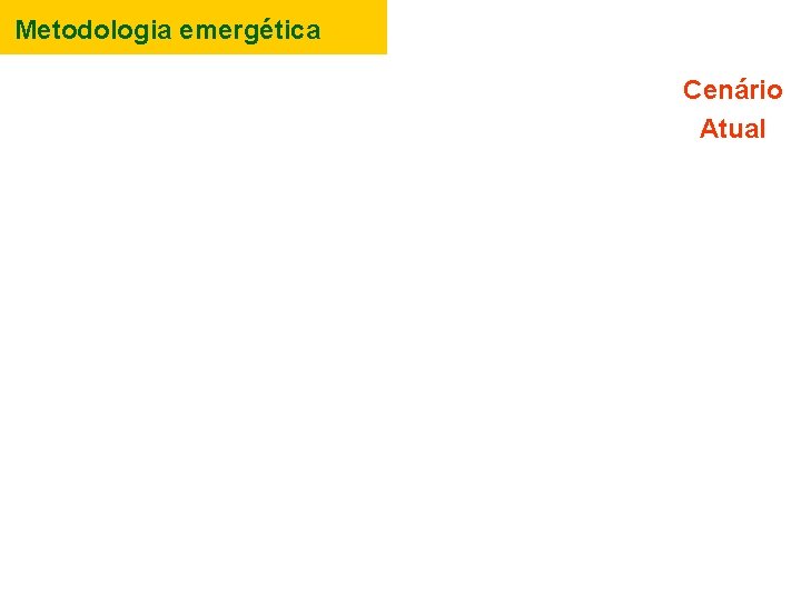 Metodologia emergética Cenário Atual 