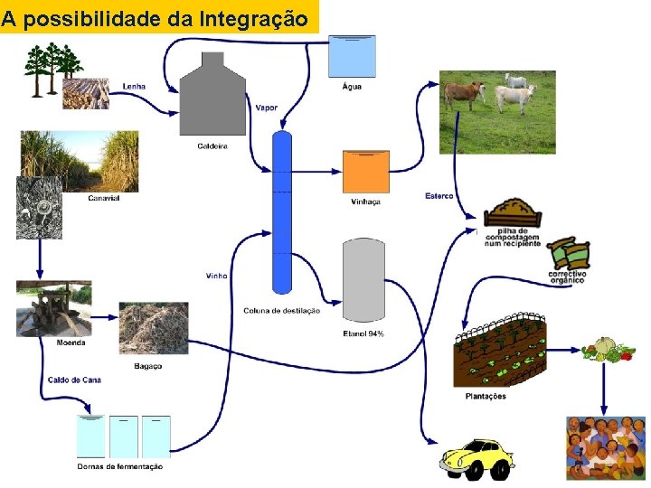 A possibilidade da Integração 