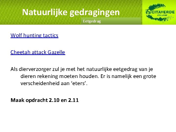 Natuurlijke gedragingen Eetgedrag Wolf hunting tactics Cheetah attack Gazelle Als dierverzorger zul je met