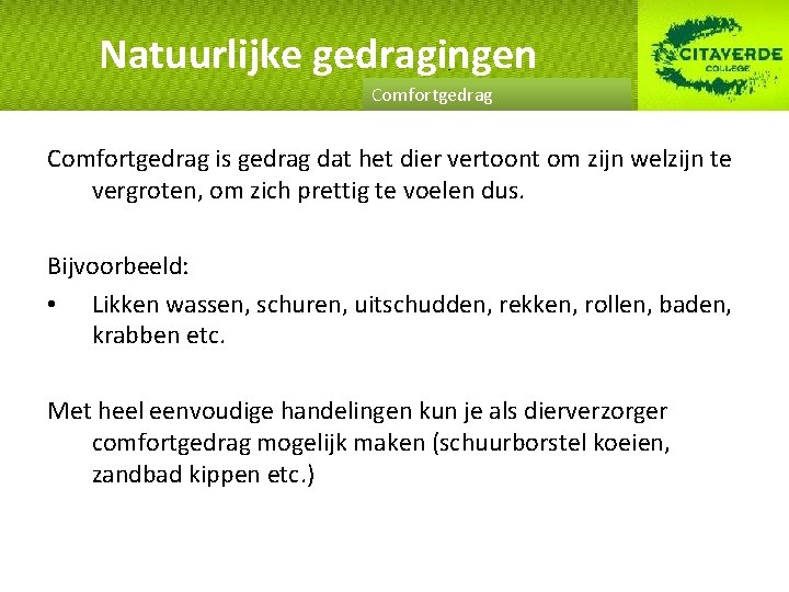 Natuurlijke gedragingen Comfortgedrag is gedrag dat het dier vertoont om zijn welzijn te vergroten,