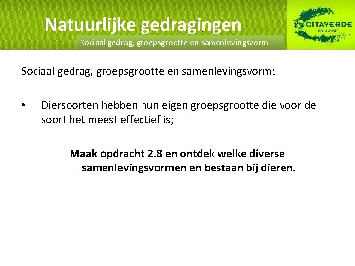 Natuurlijke gedragingen Sociaal gedrag, groepsgrootte en samenlevingsvorm: • Diersoorten hebben hun eigen groepsgrootte die