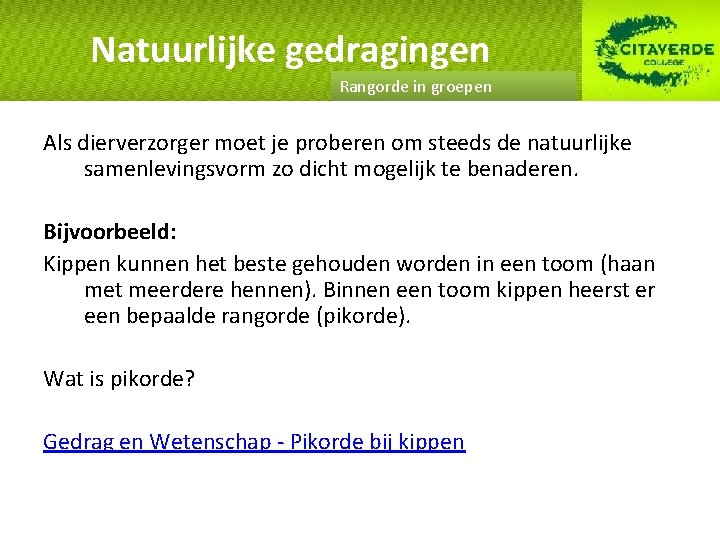Natuurlijke gedragingen Rangorde in groepen Als dierverzorger moet je proberen om steeds de natuurlijke
