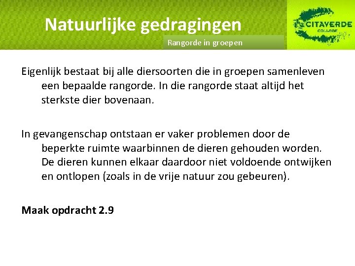 Natuurlijke gedragingen Rangorde in groepen Eigenlijk bestaat bij alle diersoorten die in groepen samenleven