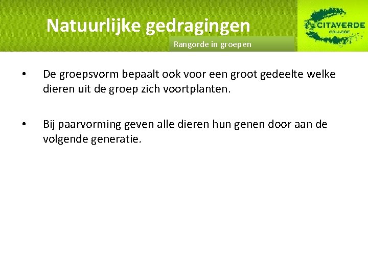Natuurlijke gedragingen Rangorde in groepen • De groepsvorm bepaalt ook voor een groot gedeelte
