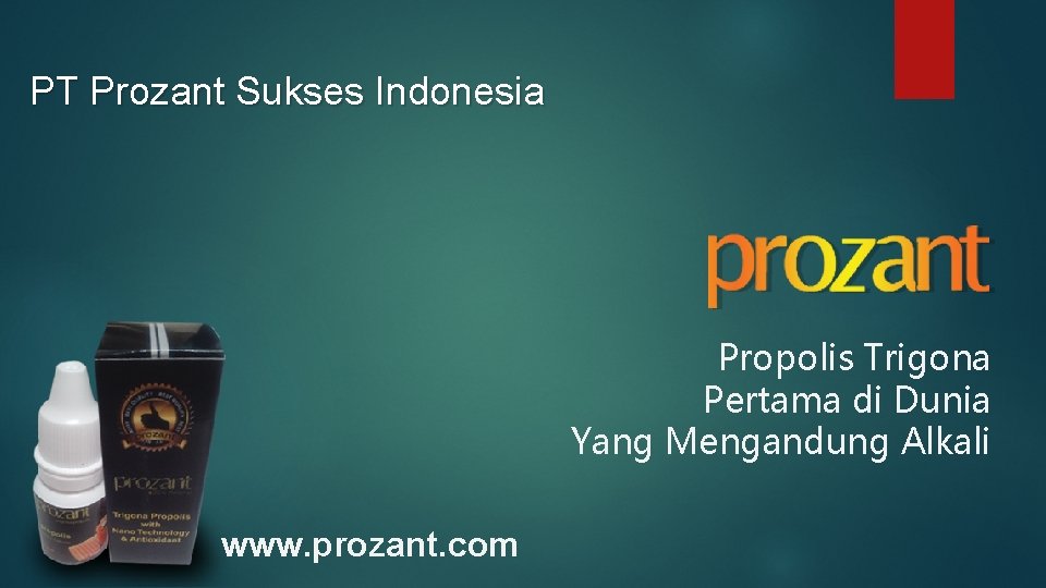 PT Prozant Sukses Indonesia Propolis Trigona Pertama di Dunia Yang Mengandung Alkali www. prozant.