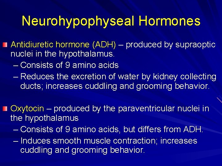 Neurohypophyseal Hormones Antidiuretic hormone (ADH) – produced by supraoptic nuclei in the hypothalamus. –