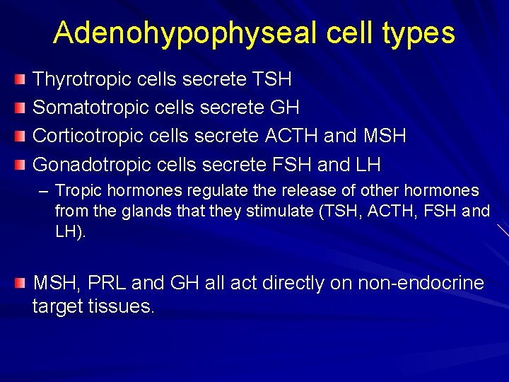 Adenohypophyseal cell types Thyrotropic cells secrete TSH Somatotropic cells secrete GH Corticotropic cells secrete