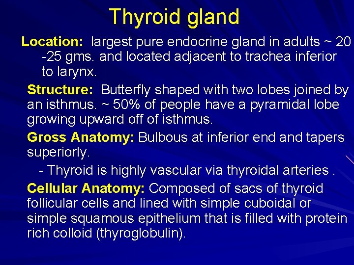 Thyroid gland Location: largest pure endocrine gland in adults ~ 20 -25 gms. and