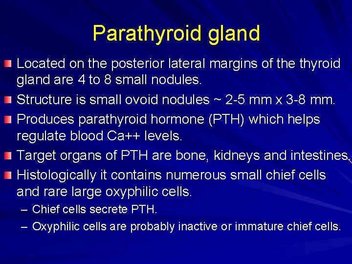 Parathyroid gland Located on the posterior lateral margins of the thyroid gland are 4