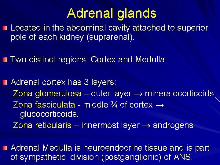 Adrenal glands Located in the abdominal cavity attached to superior pole of each kidney