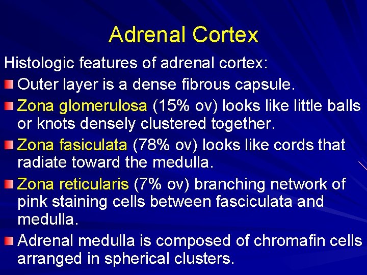 Adrenal Cortex Histologic features of adrenal cortex: Outer layer is a dense fibrous capsule.