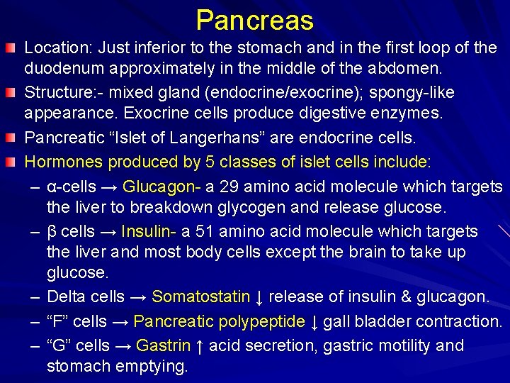 Pancreas Location: Just inferior to the stomach and in the first loop of the