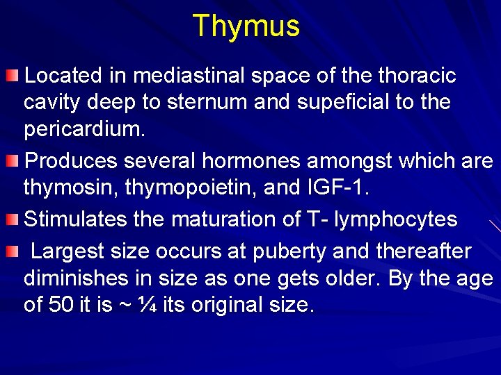 Thymus Located in mediastinal space of the thoracic cavity deep to sternum and supeficial