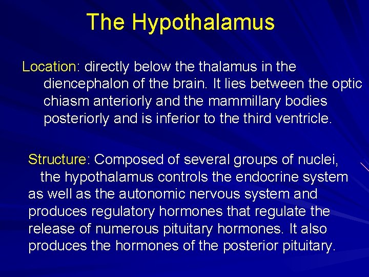 The Hypothalamus Location: directly below the thalamus in the diencephalon of the brain. It